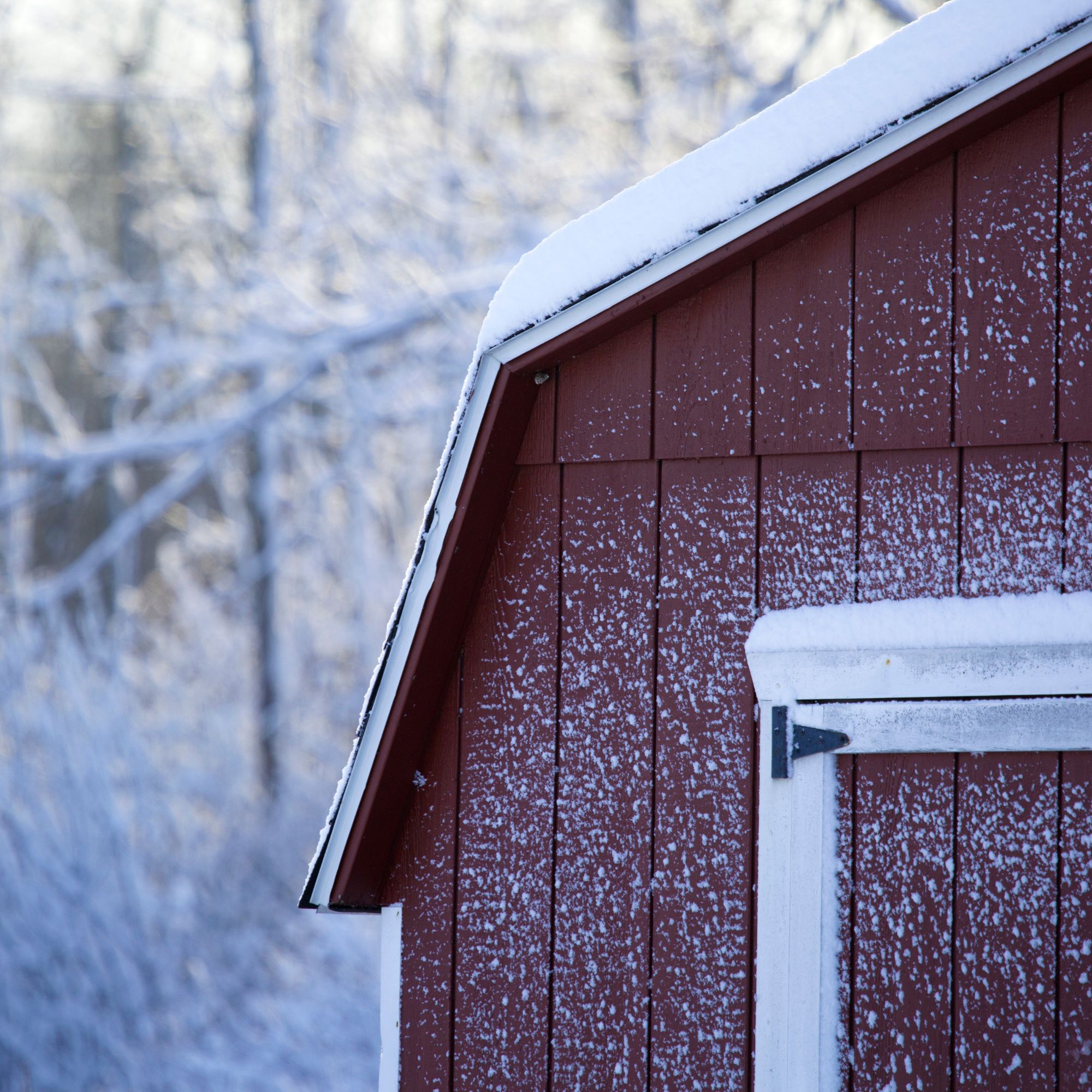 garden shed with snow on roof