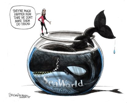 Editorial cartoon Sea World