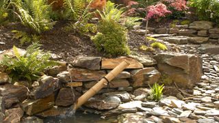 Rock garden ideas