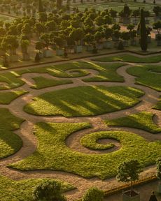 Jardin de l'Orangerie at Château de Versailles
