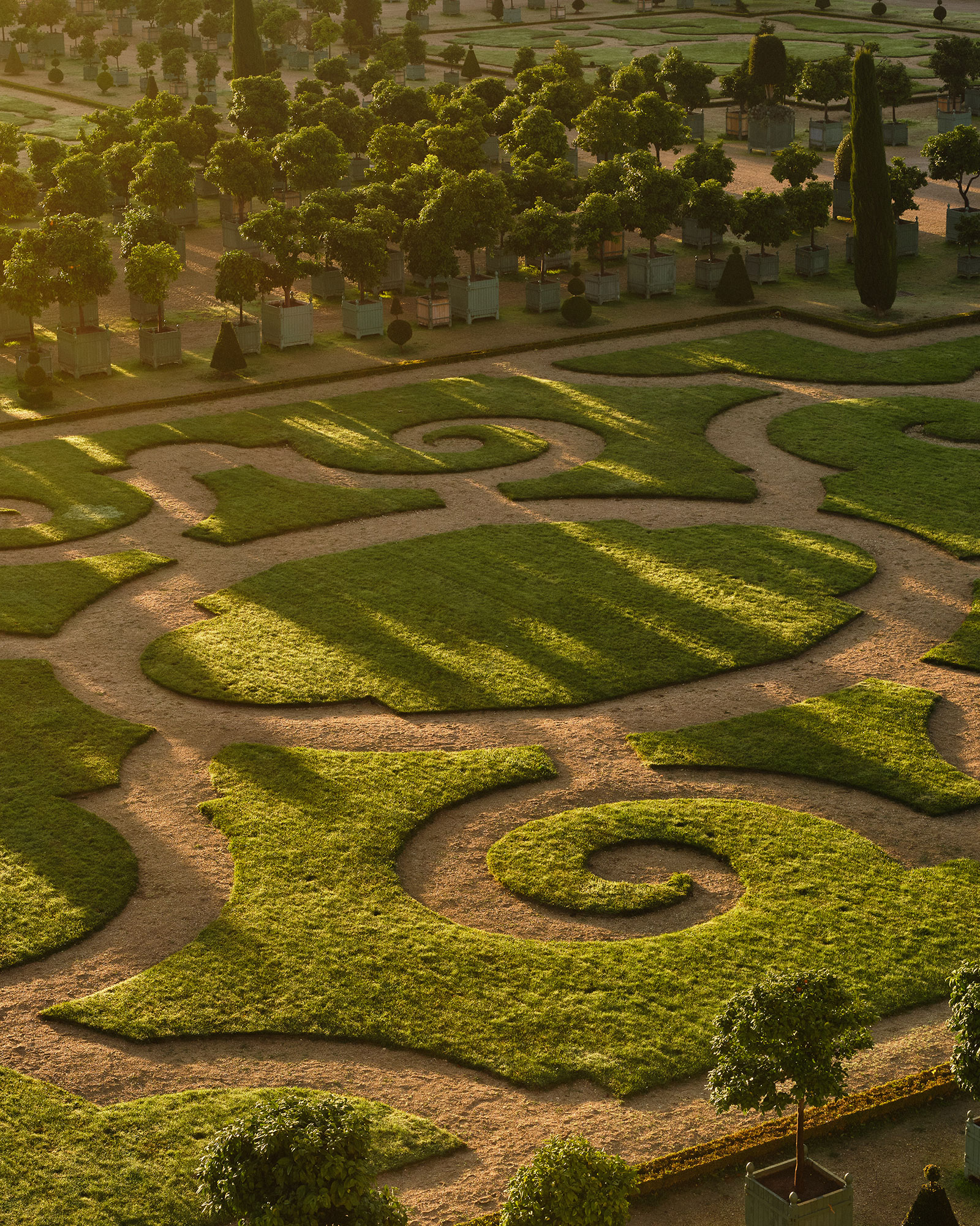 Jardin de l'Orangerie at Château de Versailles