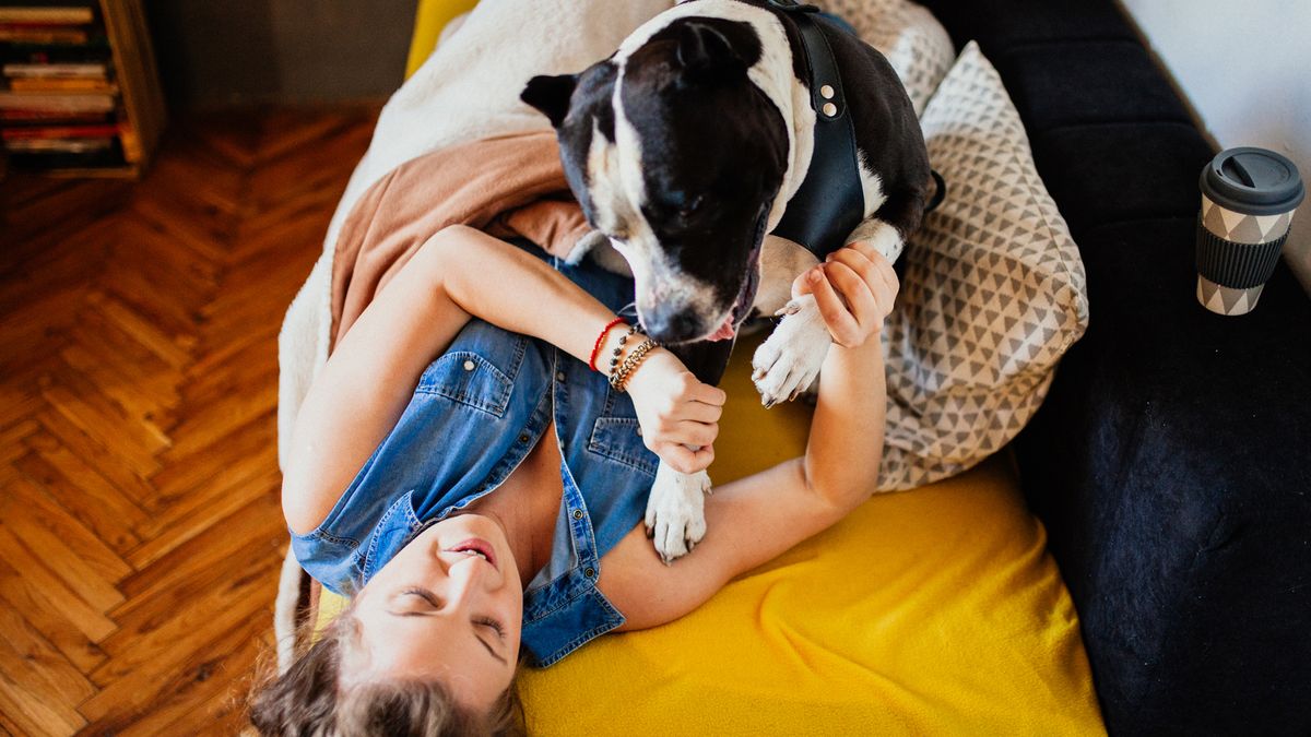 Woman lying on a couch pushes back dog jumping on top of her