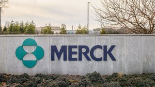 Photograph of a concrete wall bearing the Merck company logo