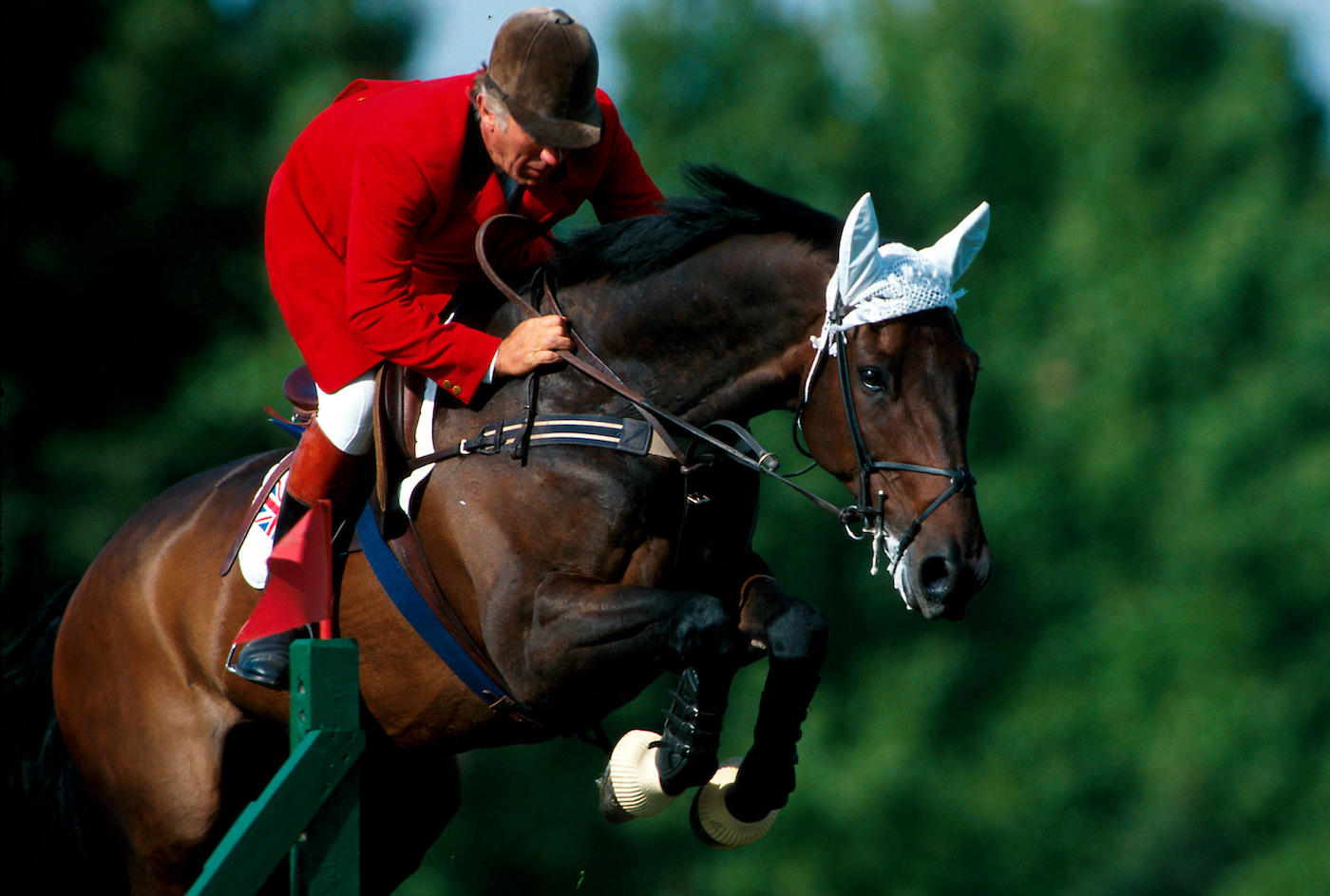 David Broome, a mentor to Mark Edwards showjumping