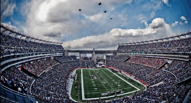 vivid seats patriots