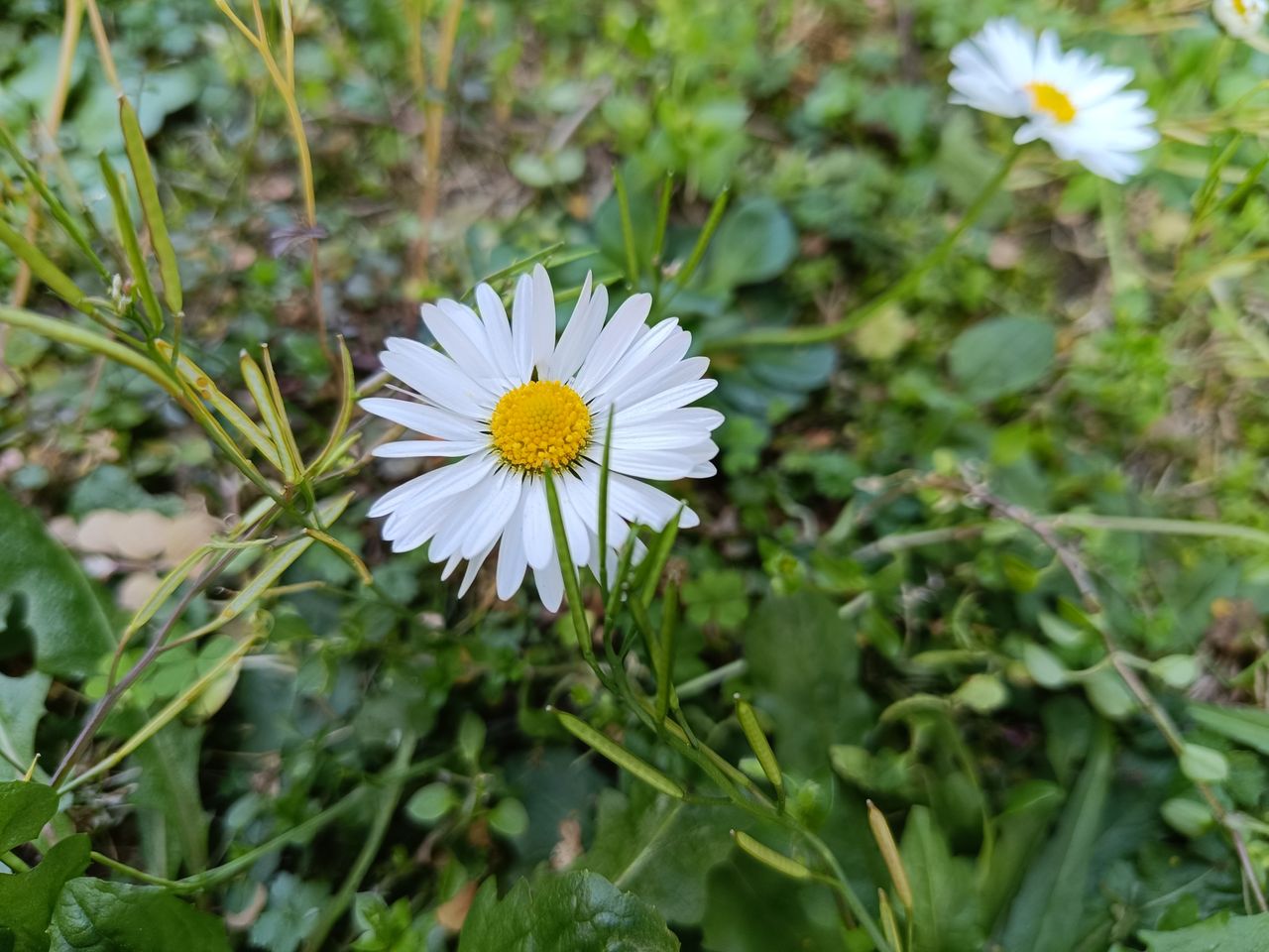 Redmi Note 12 Pro 5G