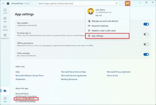 Microsoft Store version