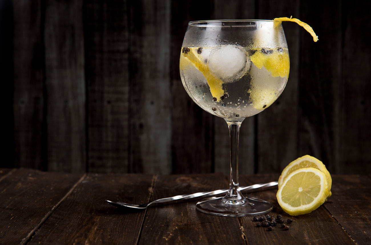 Large glass of gin and tonic with lemon slices