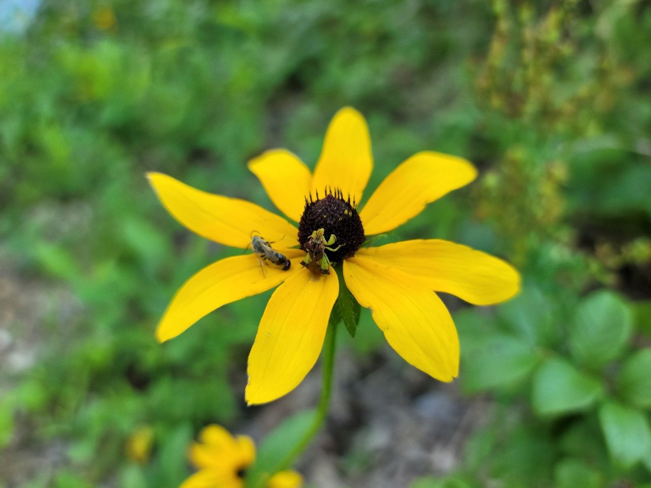 Note 20 Ultra Cam
