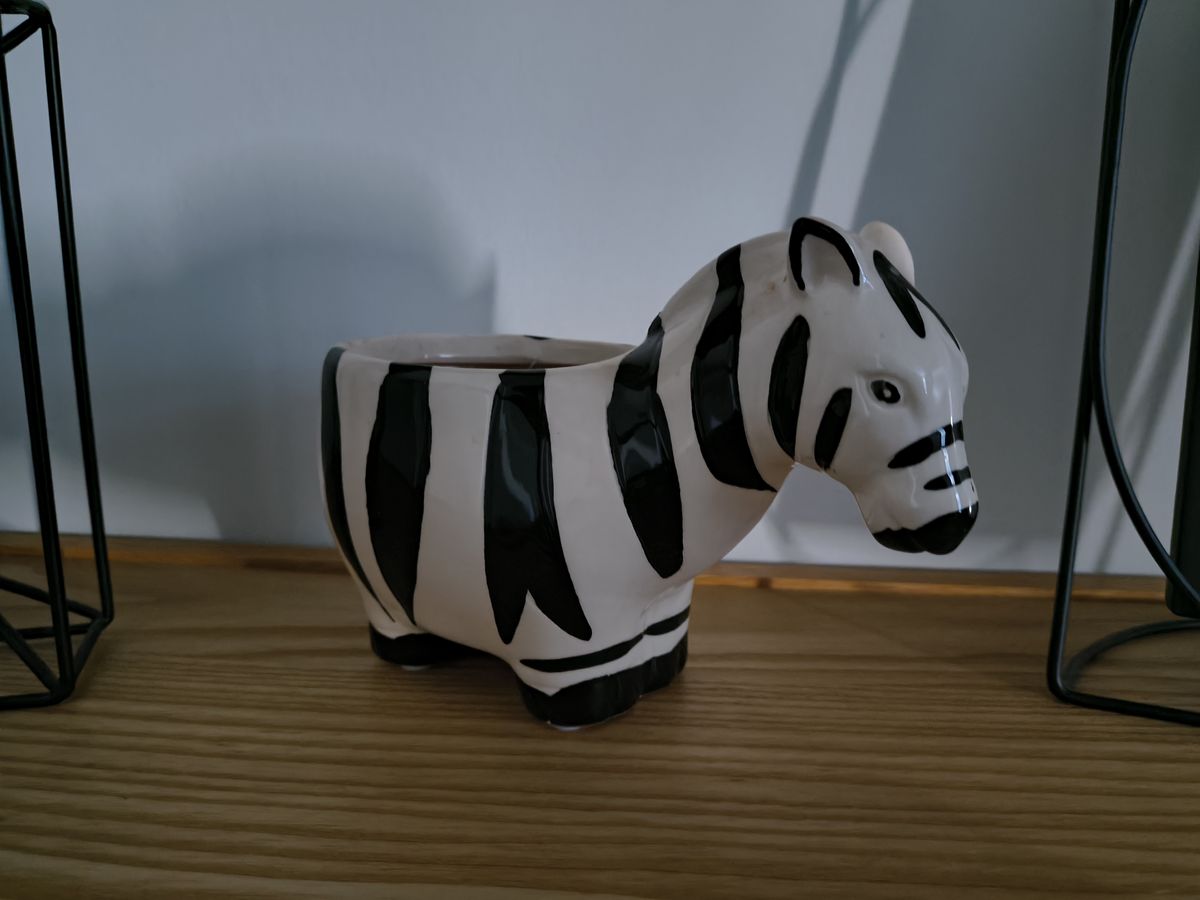 Photos of cats, gardens, and home interiors captured by the Motorola Razr 2026