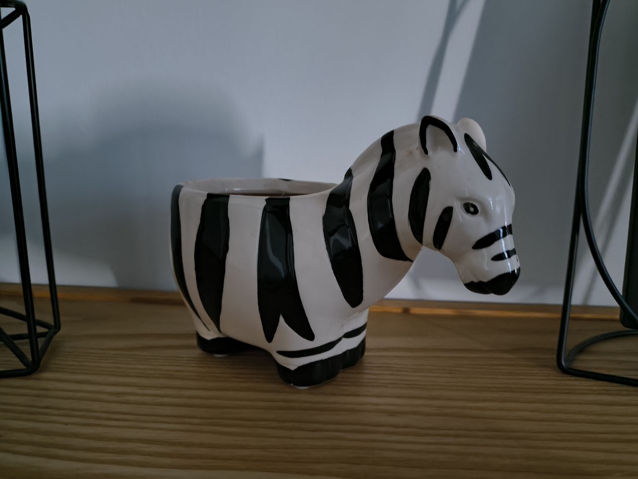 Photos of cats, gardens, and home interiors captured by the Motorola Razr 2026
