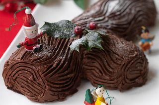 Chocolate yule log