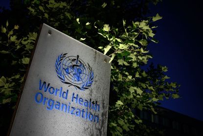 World Health Organization sign.