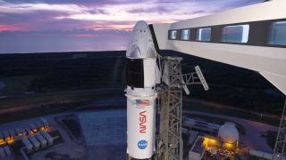 SpaceX's Crew-13 Crew Dragon capsule and Falcon 9 rocket on the pad in Florida ahead of their planned Oct. 1, 2026 launch.