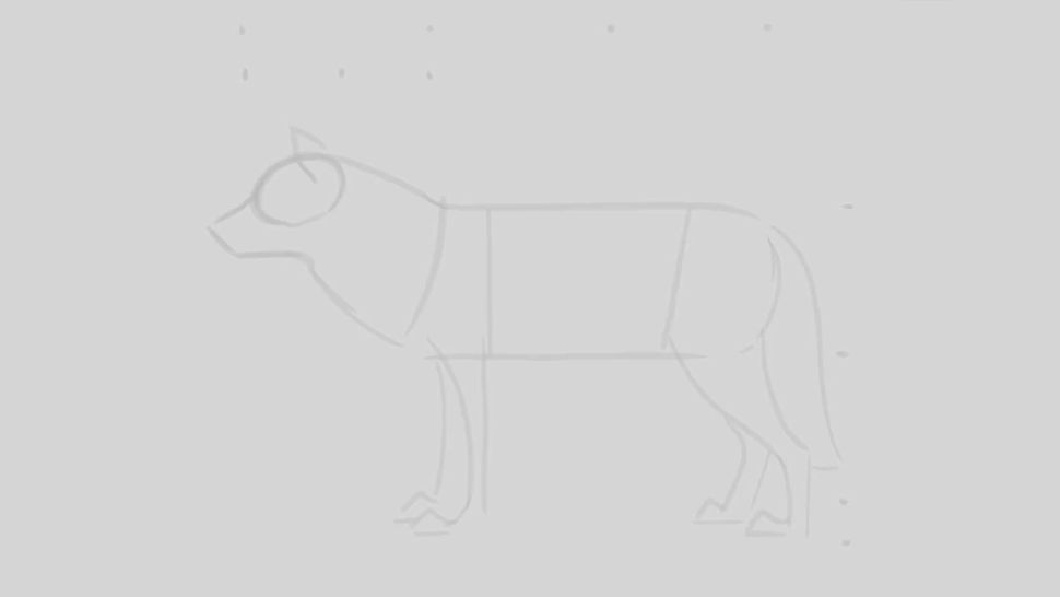 How to draw a wolf | Creative Bloq