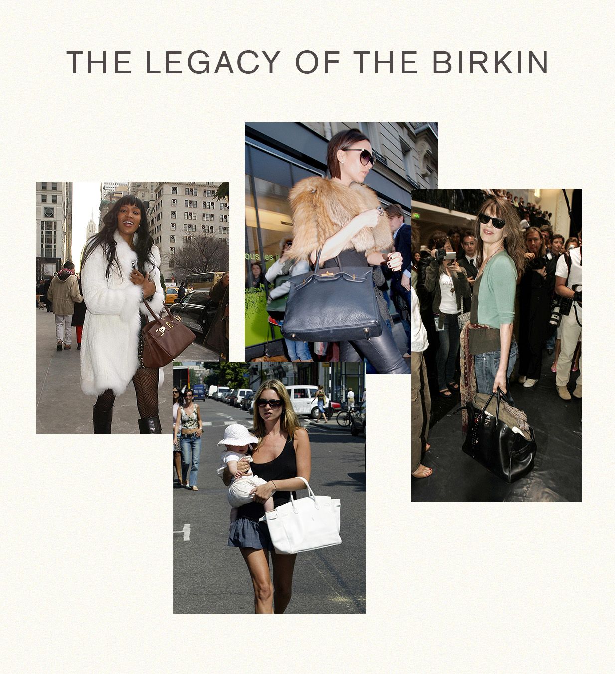 birkin bag review