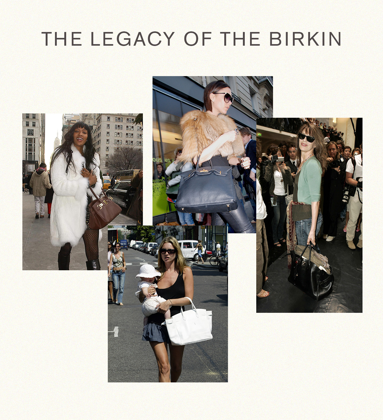 birkin bag review