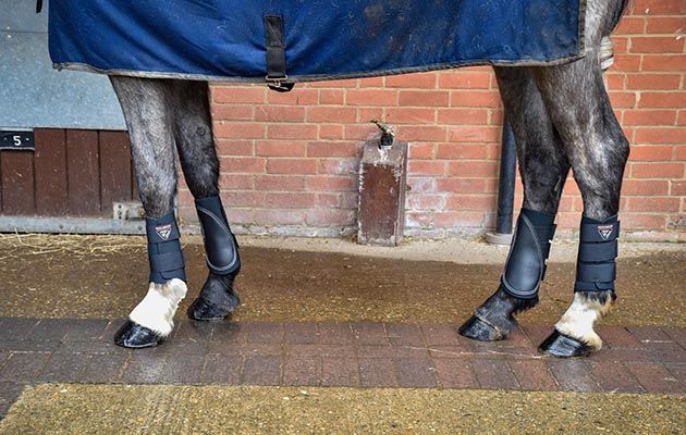 Tri-Zone Horse Brushing Boots review