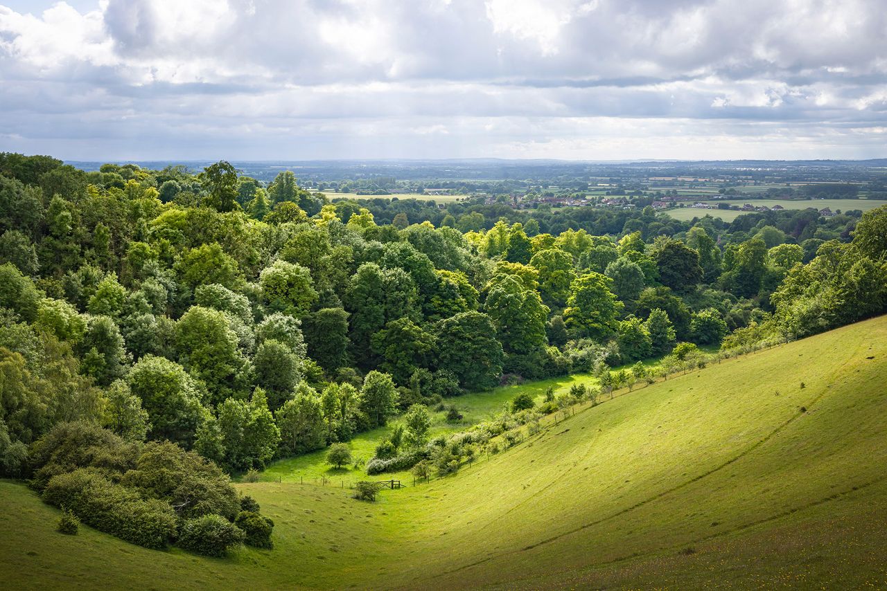 Swathes of countryside, including the Vale of Aylesbury as seen from the Chilterns, will be affected by the construction of HS2.