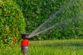 red sprinkler on lawn to get rid of pests