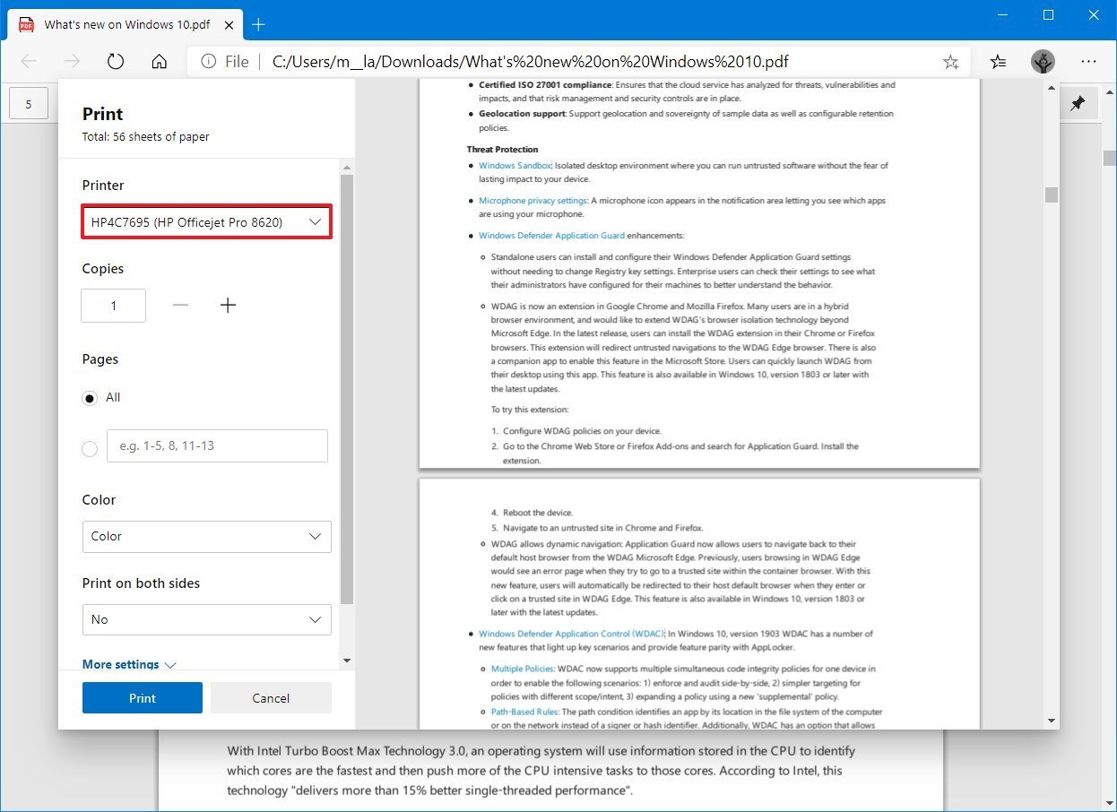 Total pdf Printer settings.