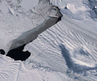 A photo from Europe's Copernicus Sentinel-2 satellite shows two gargantuan cracks forming along the edge of Antarctica's Pine Island Glacier, one of the fastest-shrinking glaciers on the continent. 