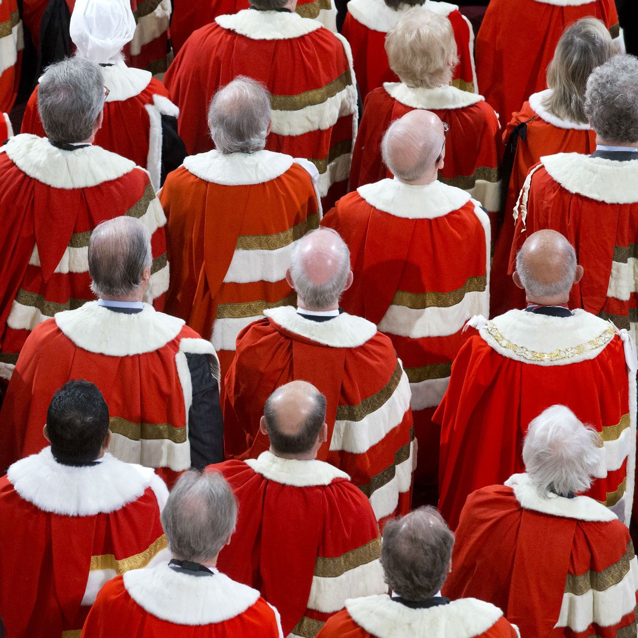 Peers in House of Lords