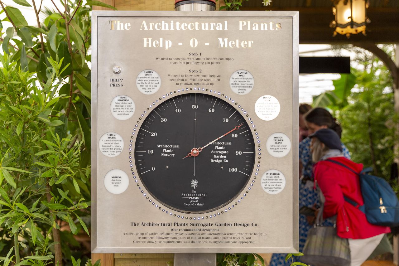 Architectural plants at RHS Chelsea Flower Show 2025