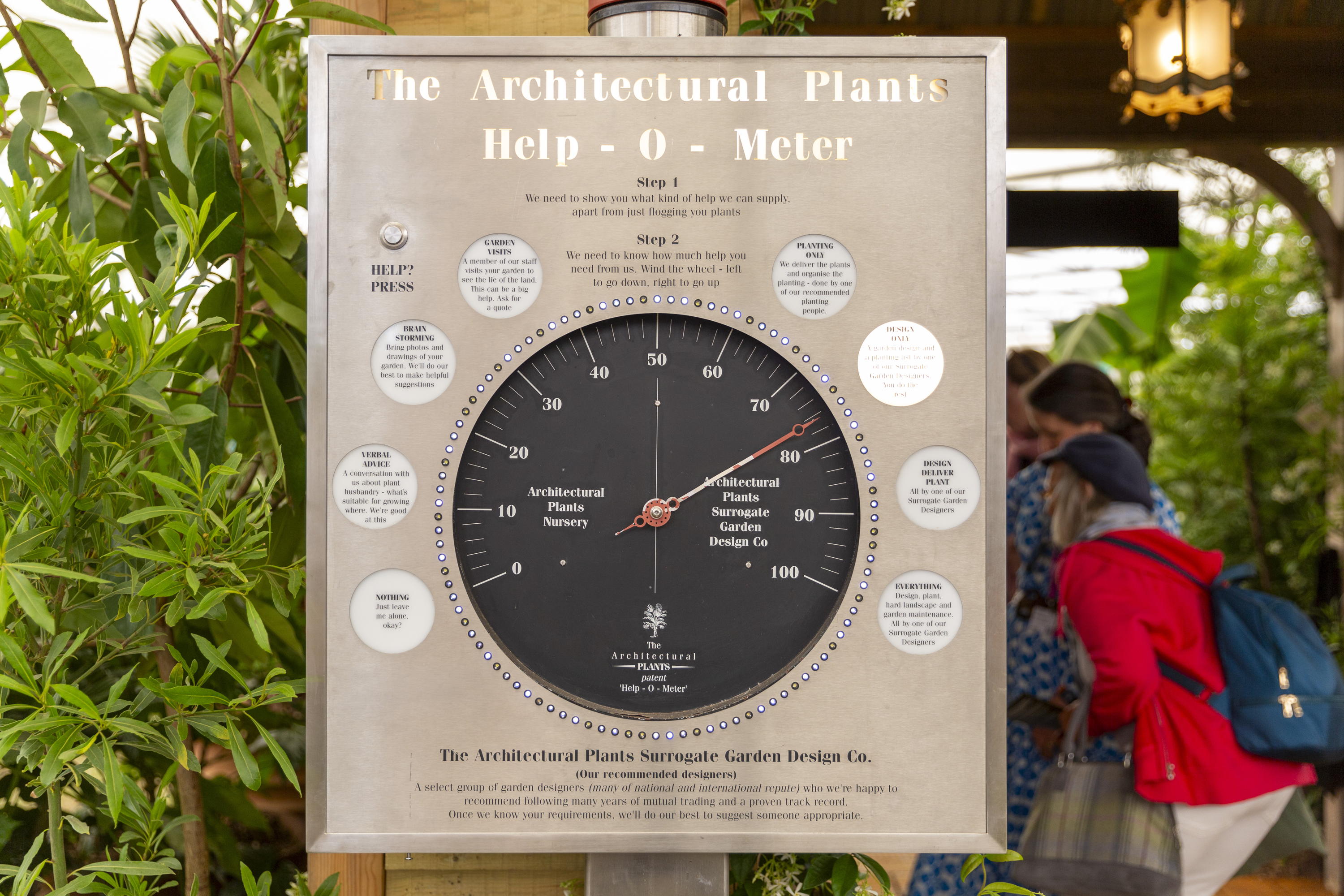 Architectural plants at RHS Chelsea Flower Show 2025