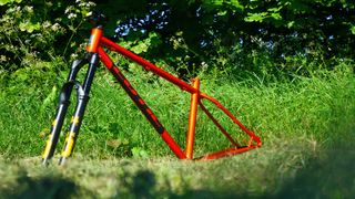 Cotic SolarisMAX frameset 