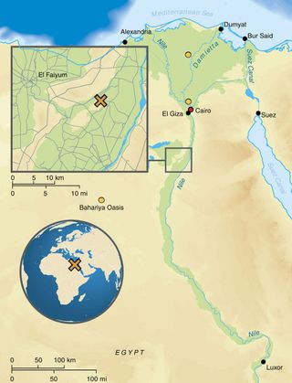 Map of Egypt depicting the location of the archaeological site Abusir-el Meleq (marked by the orange "X") and the location of the modern Egyptian samples (marked by the orange circles).