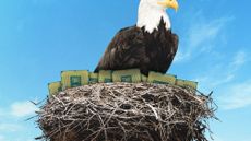 Illustration of a bald eagle guarding a group of CPU chips in a nest