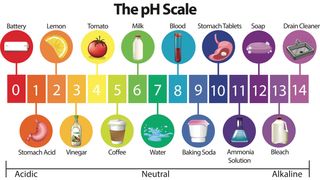 Everyday items on the pH scale.