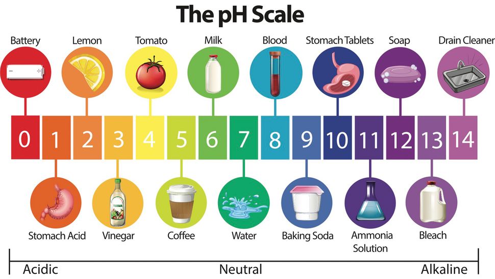 Why are vinegar and baking soda so good for cleaning? | Live Science