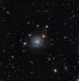 Galaxy IC 239