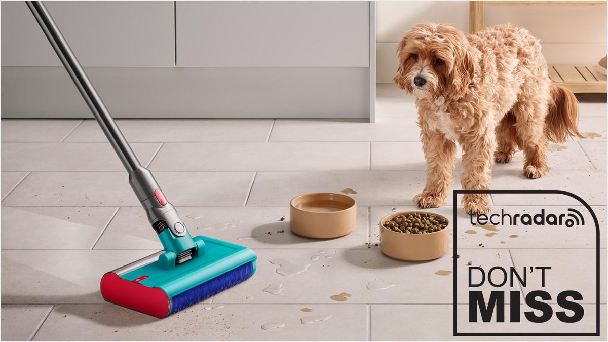 A dog watches the Dyson V15s Detect Submarine wet-dry vacuum mop around its bowls