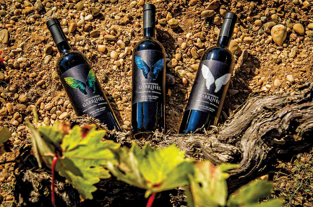 Linaje Garsea wine producer in DO Ribera del Duero, Spain