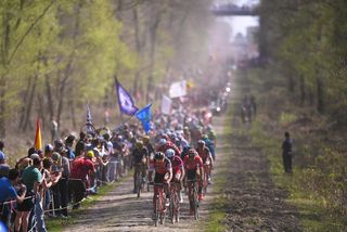 The Paris-Roubaix peloton rolls through the Arenberg Trench