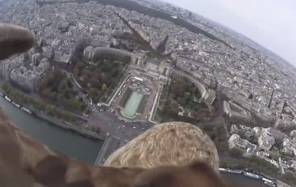 Behold, a literal bird's-eye view of Paris