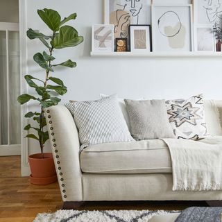 white living room with house plant and picture ledge