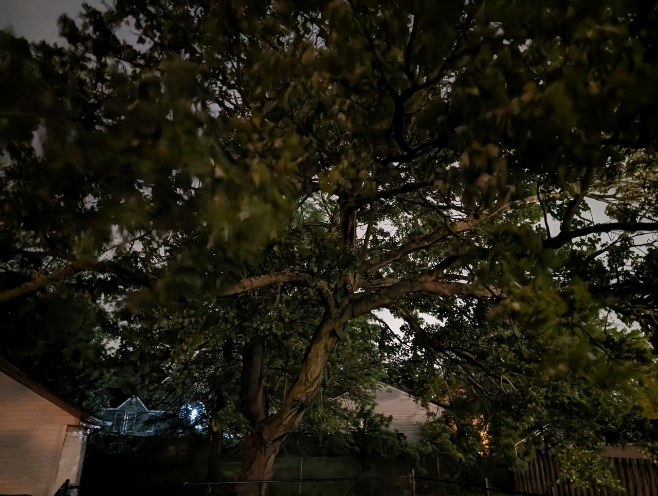 Google Pixel 8 low light sample.