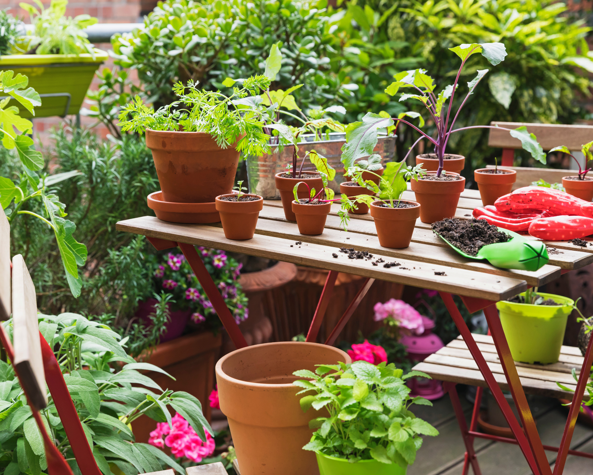 trowel, gardening gloves and potting soil on a garden table on a balcony to grow vegetables in pots