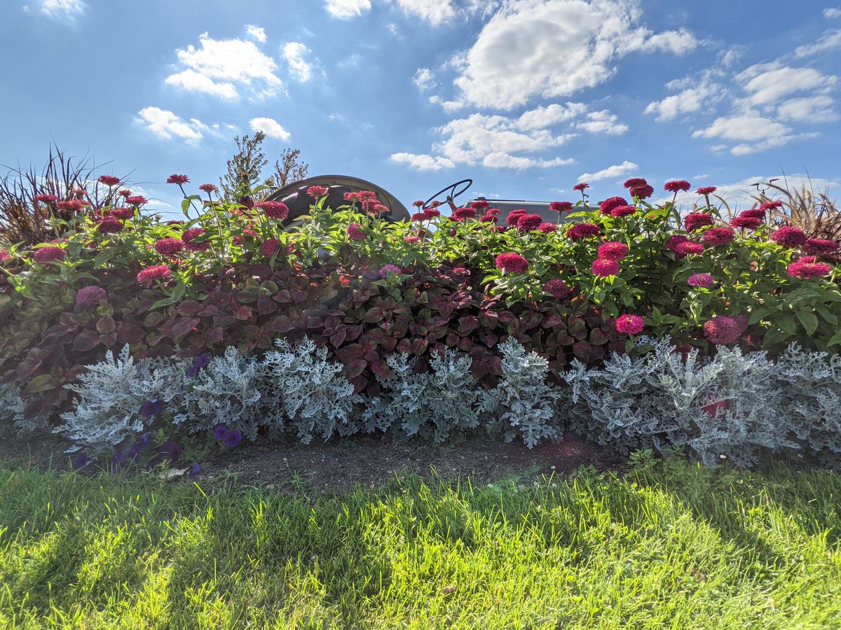 Pixel 5a camera samples