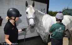 Spillers-Horse-2-ladies