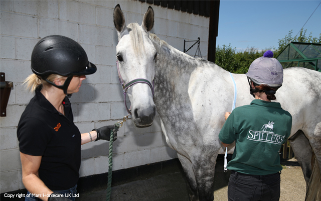 Spillers-Horse-2-ladies