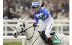 Tina-Cook-Cheltenham.jpg
