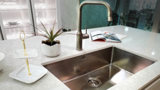 Kitchen sink with plant on side