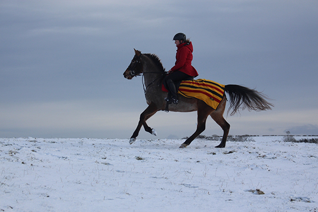 Braving the elements