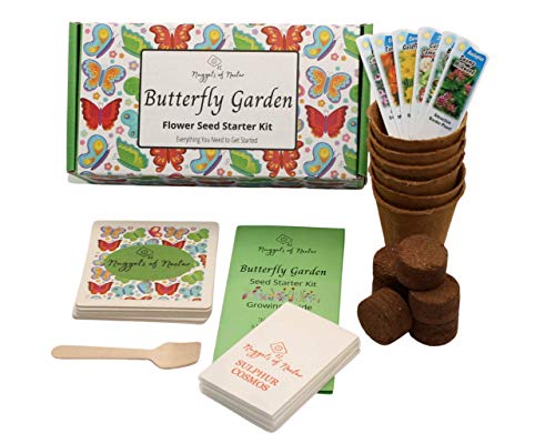 Nuggets of Nectar Butterfly Garden Flower Seed Starter Kit - Grow 6 Types of Wildflower Seeds Including Milkweed, Coreopsis, Cosmos, Echinacea, Gaillardia and Zinnia Seeds