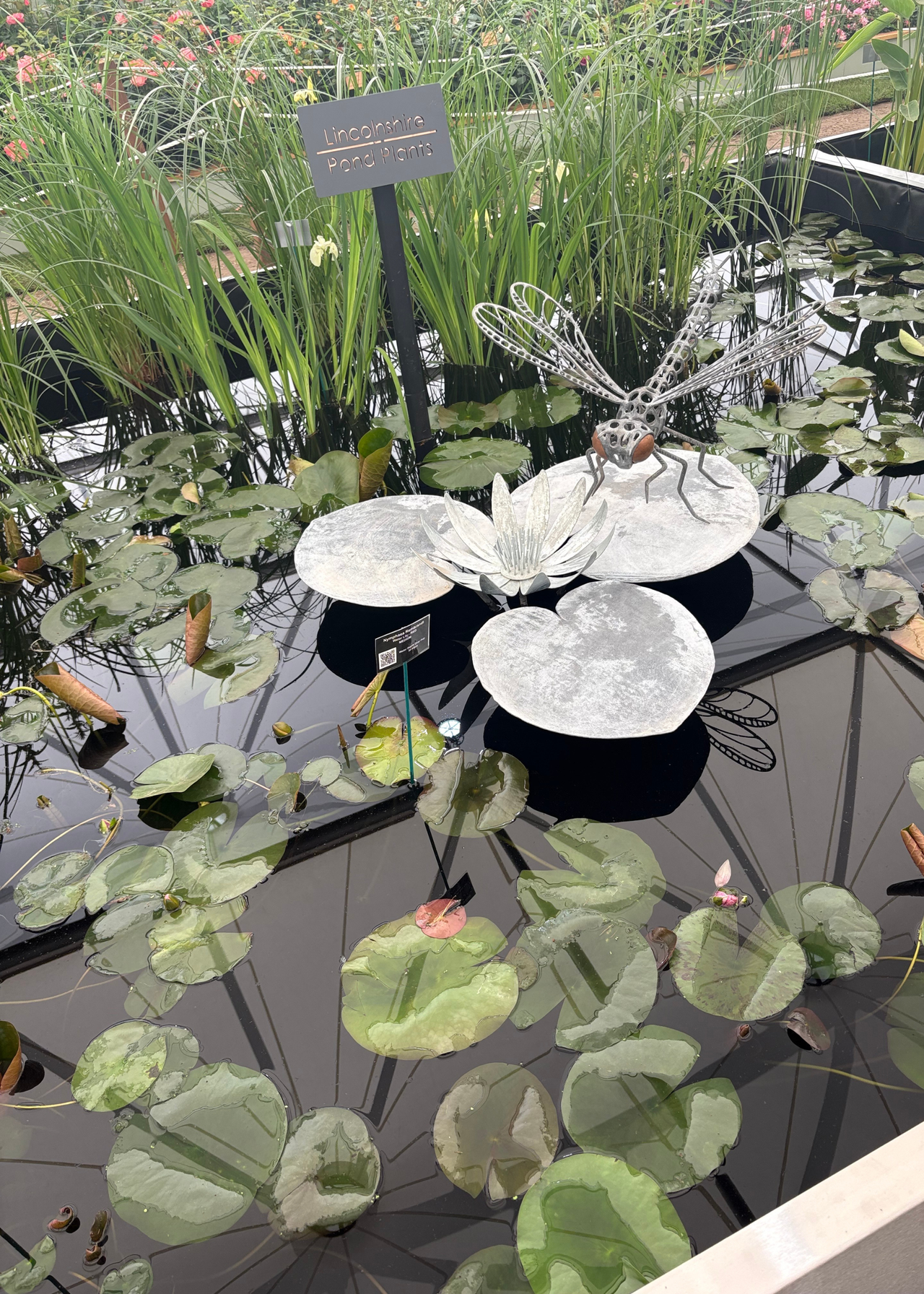 An overhead image of a lily pond with a silver sculpture at the Chelsea Flower Show 2026